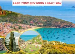 LAND TOUR QUY NHƠN 2 NGÀY 1 ĐÊM